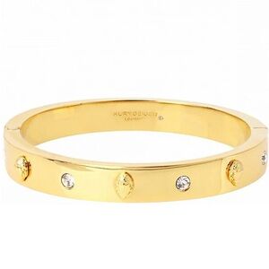 Kurt Geiger London Metal Eagle Hinged Bangle NWT